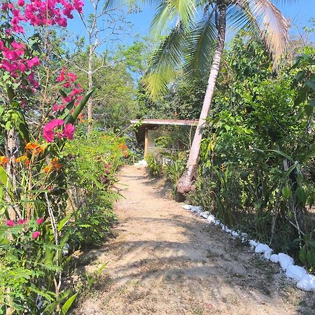 Casa Paraiso Manzanillo  Bagian luar foto
