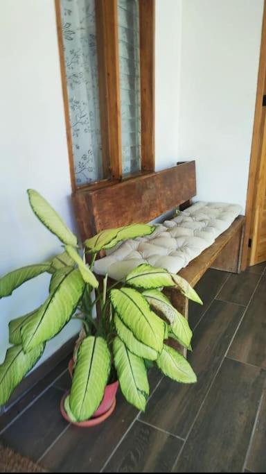 Casa Paraiso Manzanillo  Bagian luar foto
