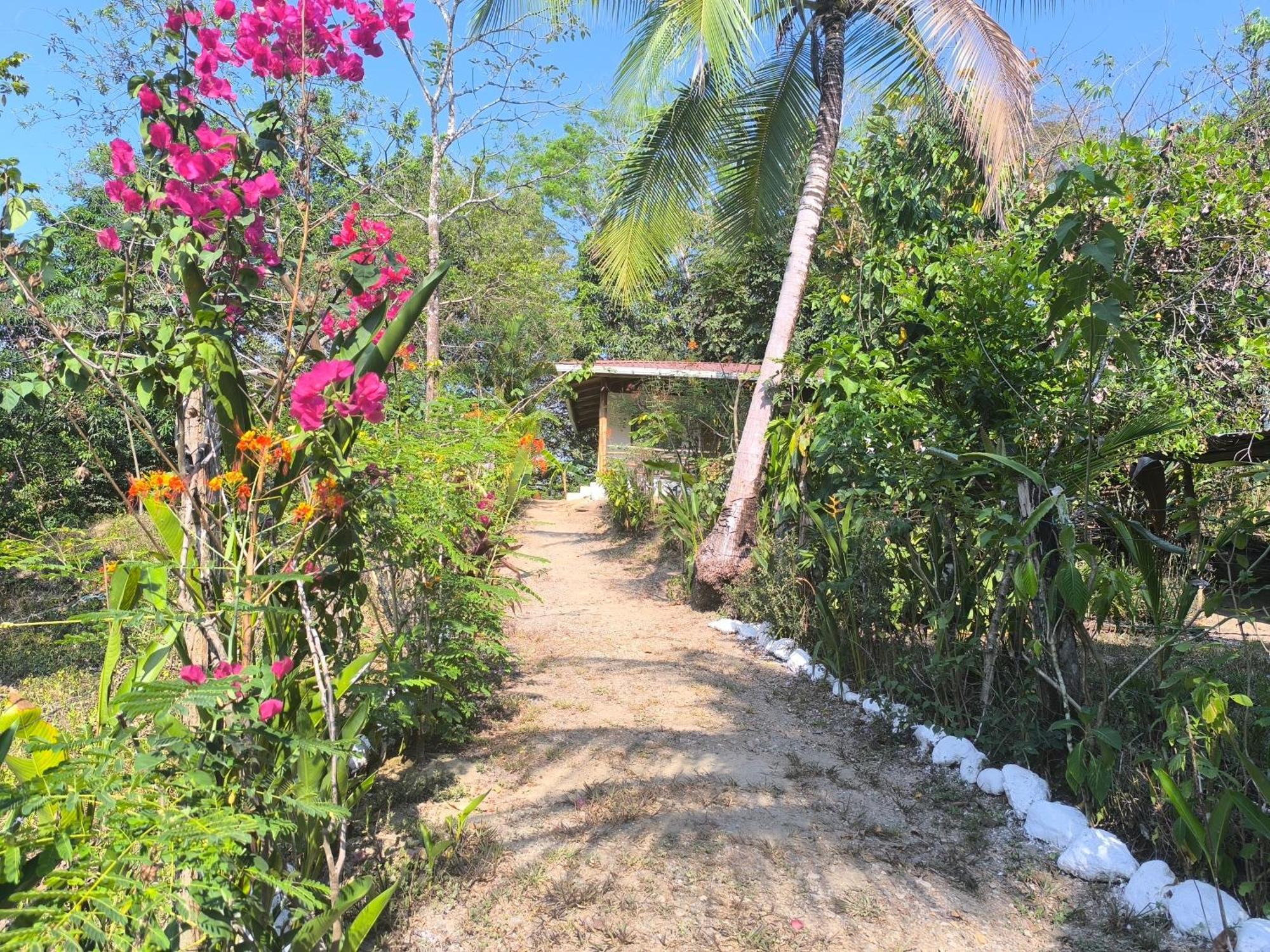 Casa Paraiso Manzanillo  Bagian luar foto